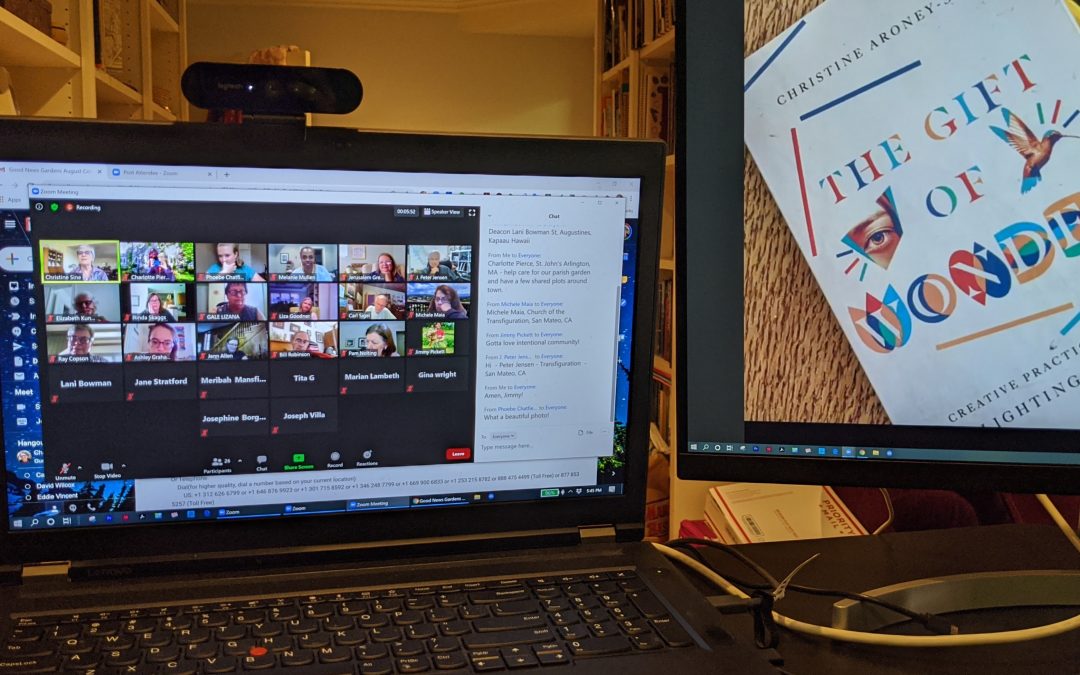 Virtual Book Events: Leveraging the New Reality